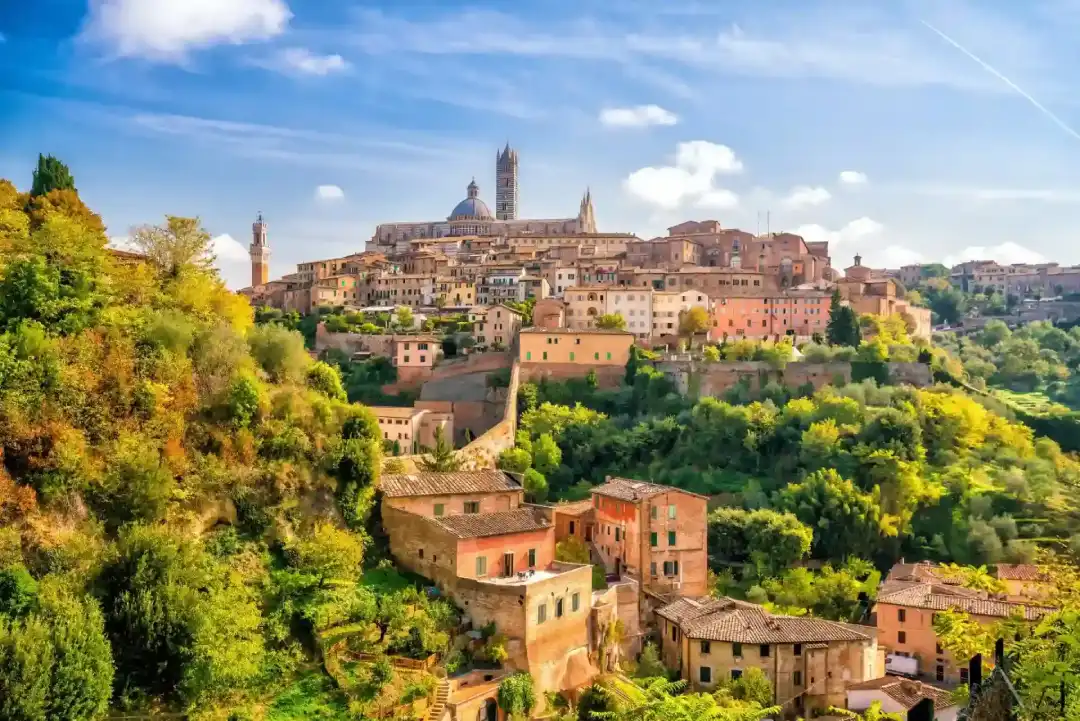 Tuscany view Siena Little town sunny Forest hill
